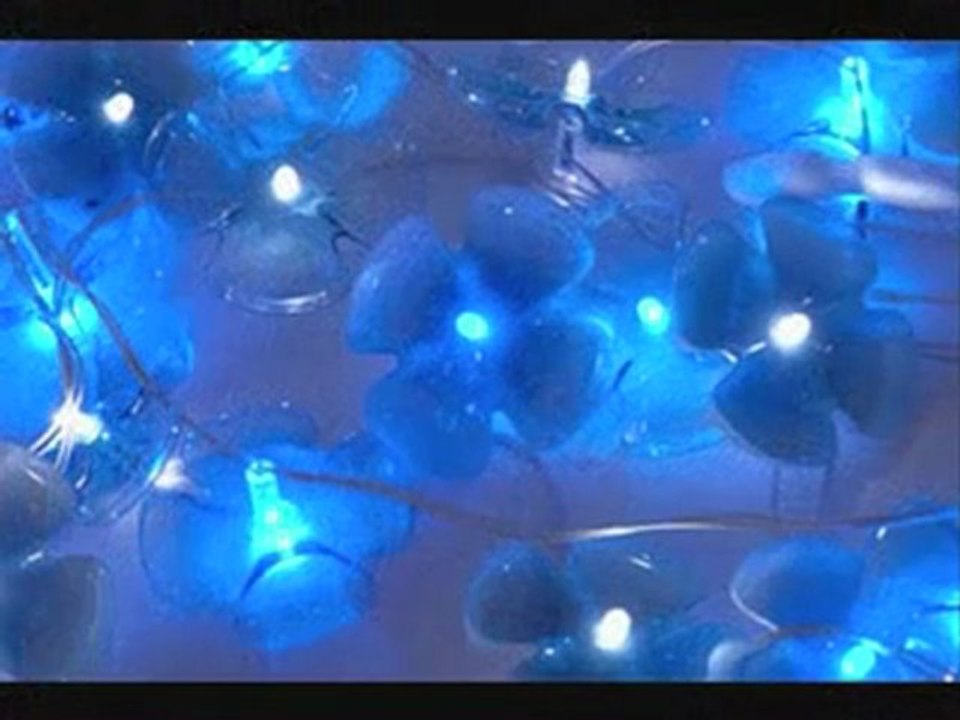 Lo que puedes hacer con una botella de plástico