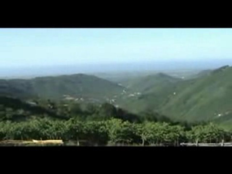 Samsun Terme Çamlıca ( Limandere ) Köyü Derebaşı kuşbakışı