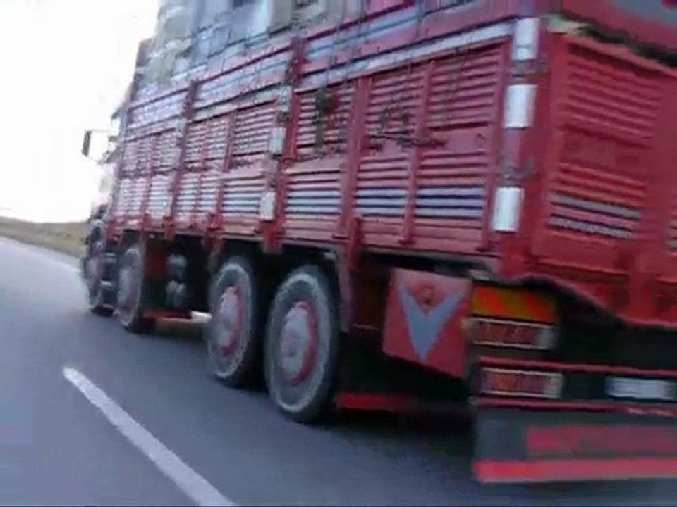 Arıları ile tatile Bodruma giden arıcılar kralı Apo...