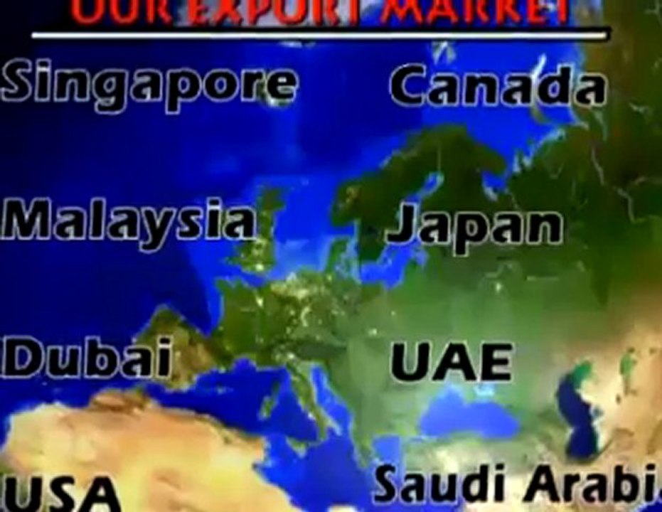 Stainless steel flanges from India