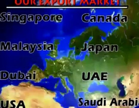 Stainless steel flanges from India