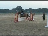 Horse Riding Lures the Youth in Kolkata, India