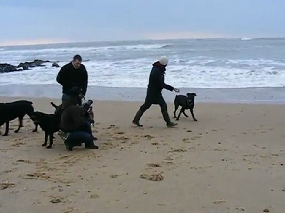 ballade à la plage le 07 02 2010.