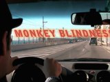 Monkey Blindness