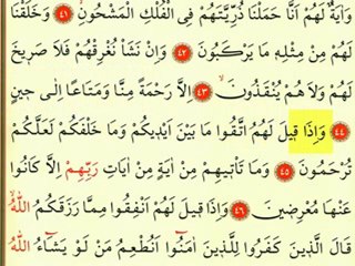 Yasin Suresi 4 - Ok Takipli Kur'an-ı Kerim Tilaveti
