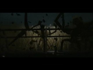 Run With The Wolves- Brighter Version