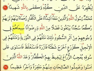 Fetih Suresi 5 - Ok Takipli Kur'an-ı Kerim Tilaveti