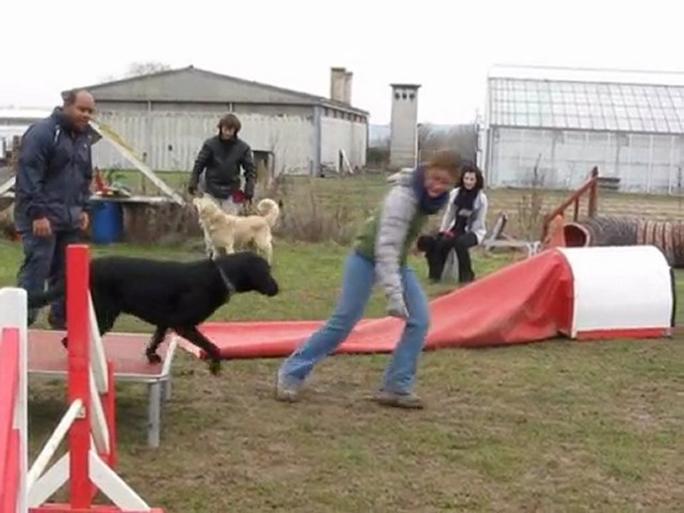 Agility_03