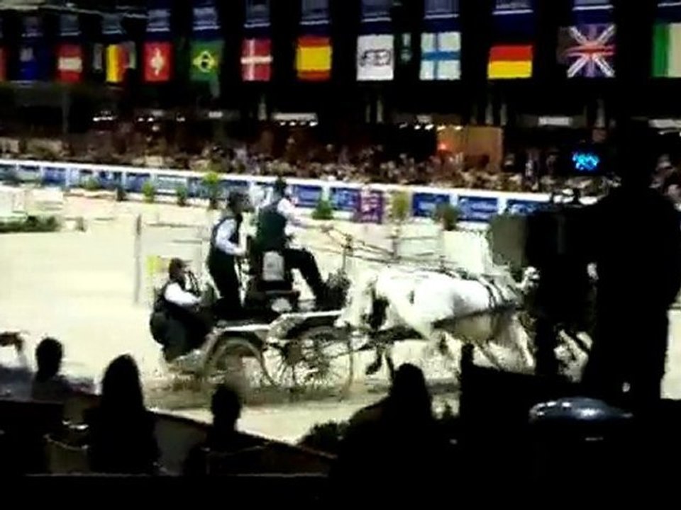 Jumping de Bordeaux Coupe du monde attelage2010, I. Chardon