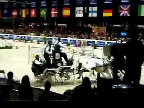 Jumping de Bordeaux Coupe du monde attelage2010, I. Chardon