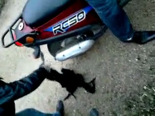 Délir avec le scoot de Reynald.