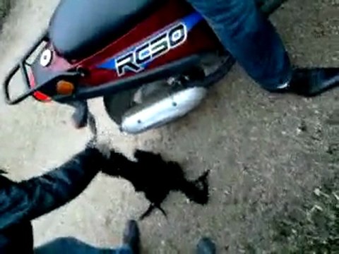 Délir avec le scoot de Reynald.