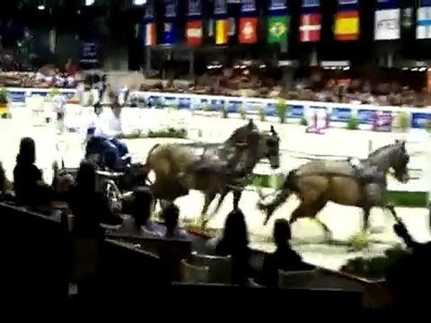 Jumping de Bordeaux Coupe du monde attelage2010, T. Coudry