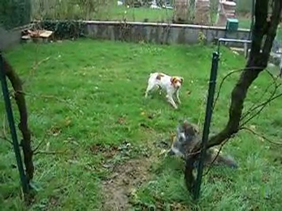 Eiko 2 mois et Dina rencontre