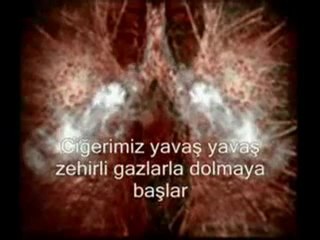 SİGARA AKCİĞERİ BİTİRİR