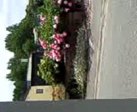 Mozart l'opéra Rock. Lille <3.