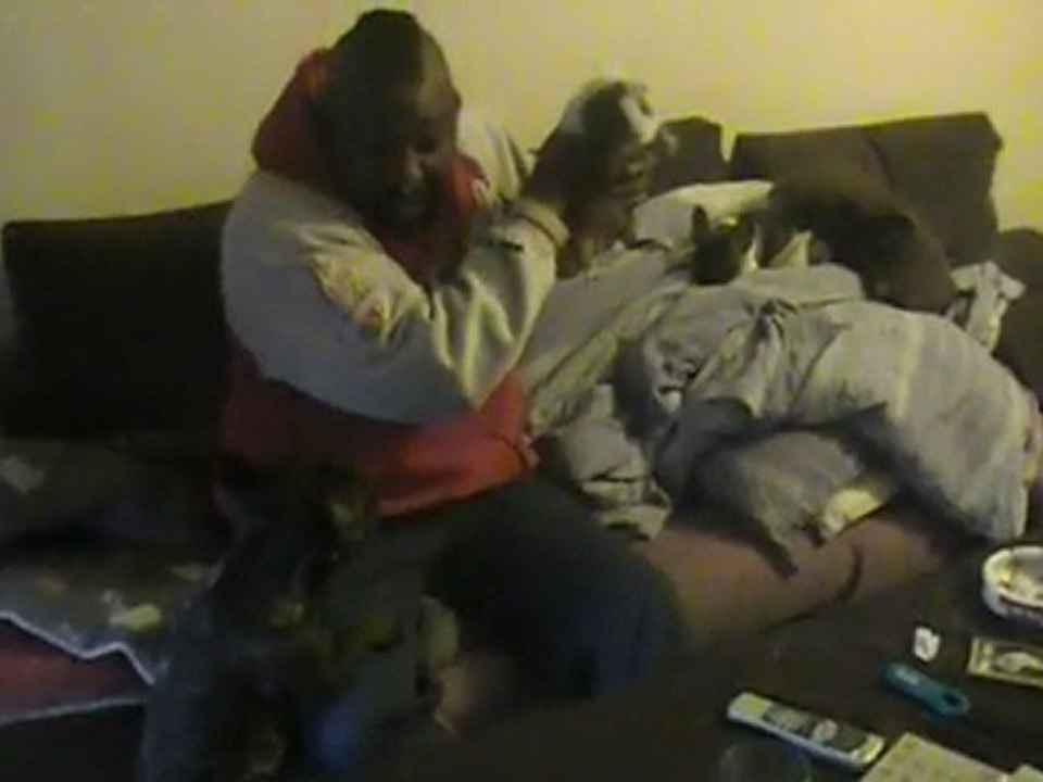 Chewbaka et Excel