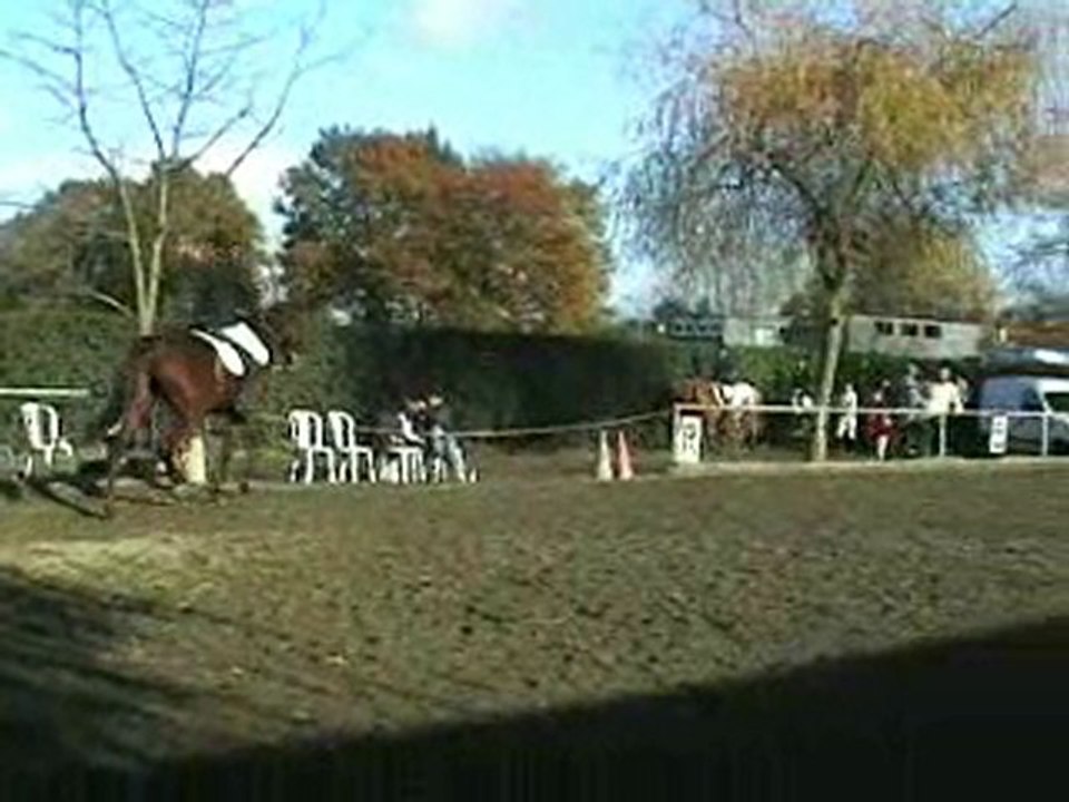 Dressage avec Moïse