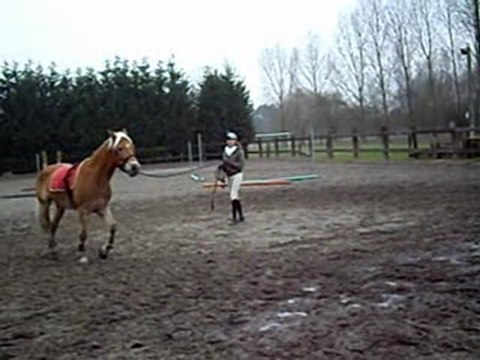 Nimerode - Le 6 Fevrier 2009 - 1ere Essai Longe