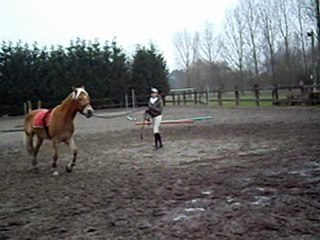 Nimerode - Le 6 Fevrier 2009 - 1ere Essai Longe