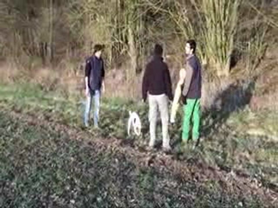 Week end D'Huisy