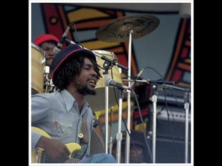 Peter Tosh-Don't  look back