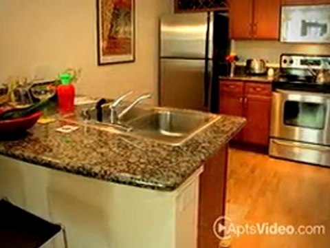 Premier Lofts Apartments in Denver, CO-ForRent.com