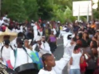 carnaval 2010 gaudeloupe