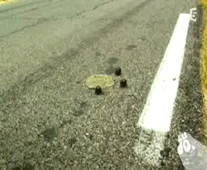 La stratégie du Gros Morpion et de son fan club