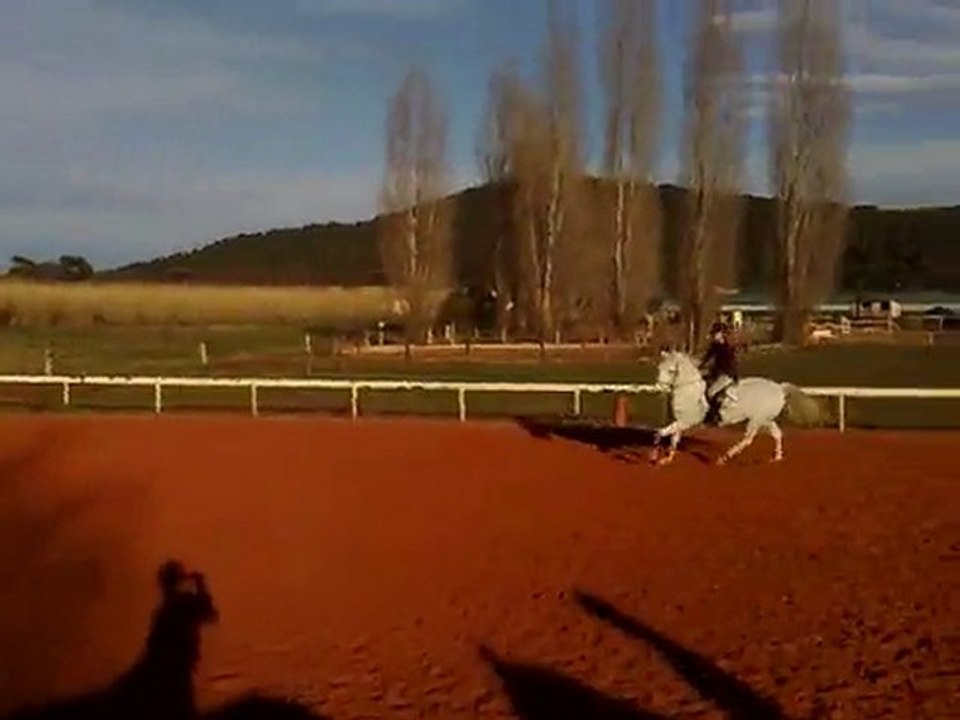 ninon et gold