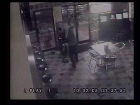 Il tente de voler mais se blesse