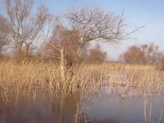 terkos gölü buzları