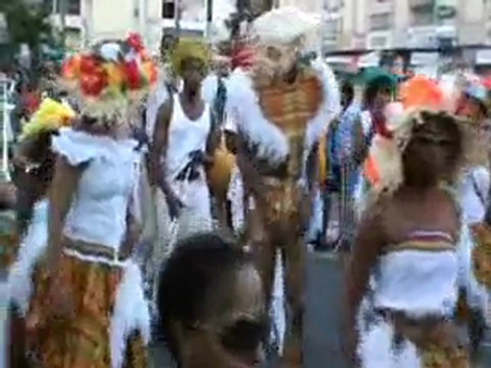carna2010PaP10A