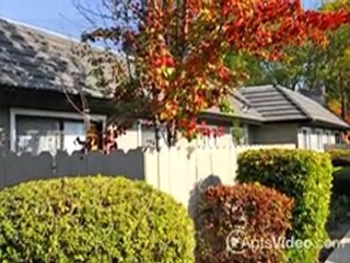 Westwood Village Apartments in Manteca, CA-ForRent.com