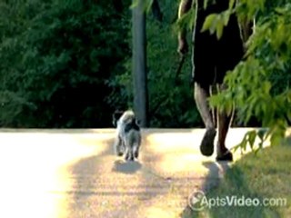 The Vinings of O'Fallon Apartments in O Fallon, MO