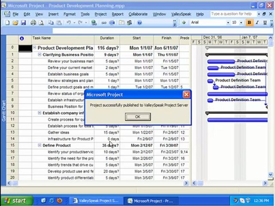 Microsoft Project Viewer