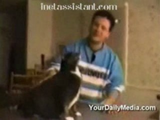 http:inetassistant.com when U ask cat do U love me