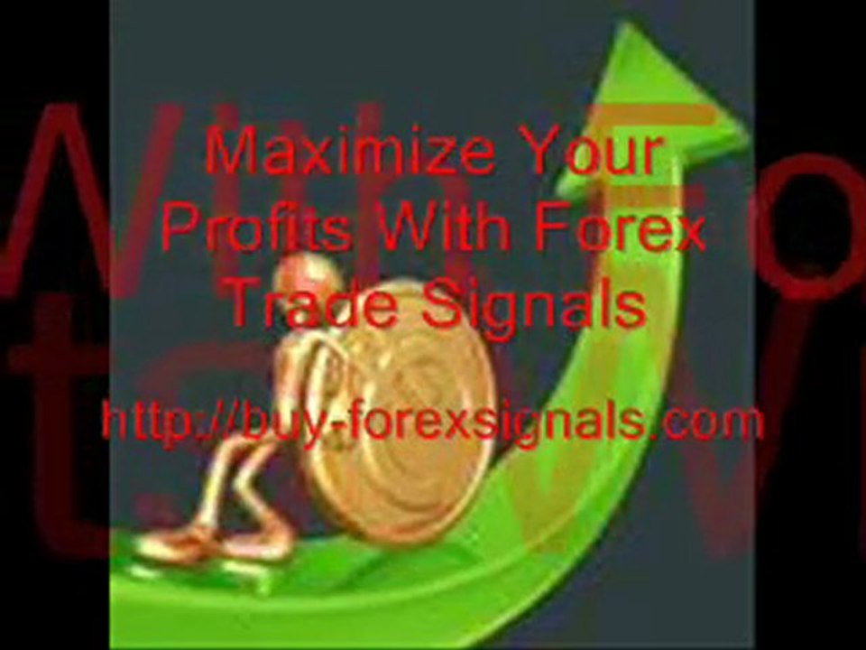 Forex Tracer Review
