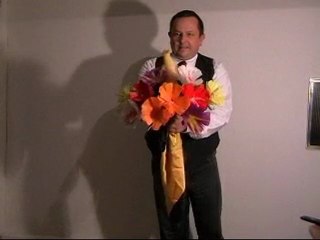 demo quartet silk