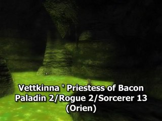 DDO - Acid Wit - A quick guide