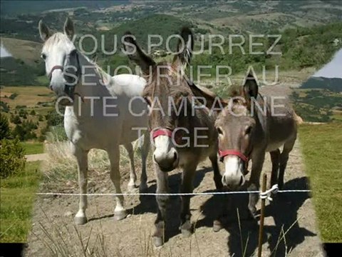 EQUITATION EN PROVENCE et GITE POUR HEBERGEMENT