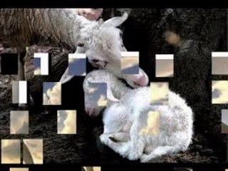 gözyaşım MADE BY AYAZ(ŞAİR LARUETTE)