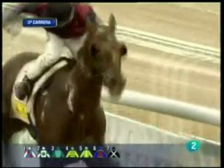 ORLOV GANADOR 24/01/2010