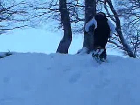 sortie raquette à Besse du 31/01