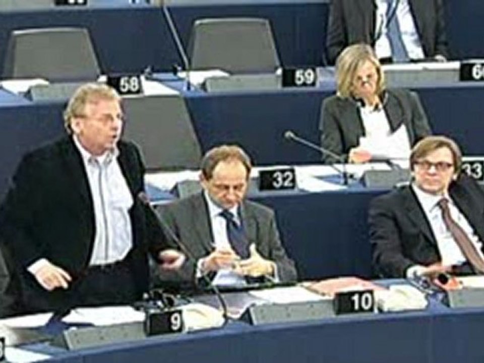 Dany Cohn-Bendit-Investiture de la Commission Barroso II