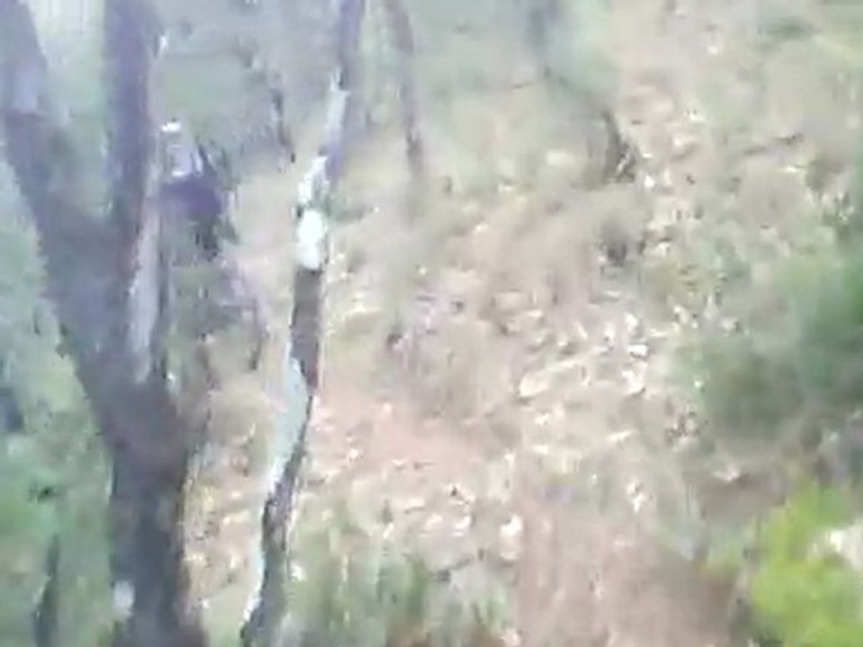 garavan.avi