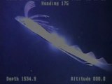 Per la prima volta il pesce remo filmato in profondità