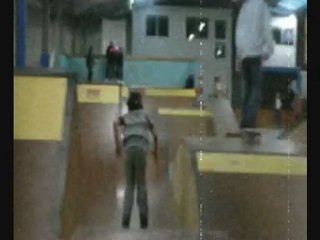 dogs'riders Nante le Hangar janvier 2010