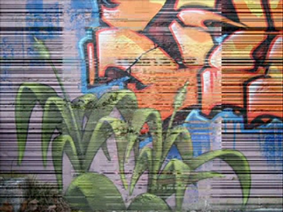 LA RUCHE 2010