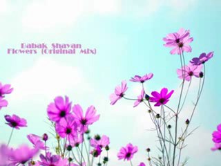 Babak Shayan - Flowers (Original Mix)
